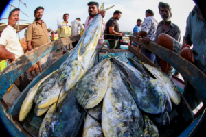 India included in revised EU draft list for continued aquaculture product exports