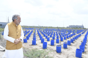 Gujarat minister reviews Dholera green belt project, semiconductor plant progress
